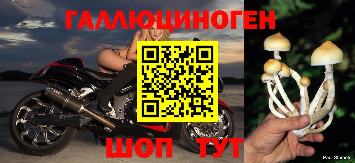 Галлюциногенные грибы прущие грибы  Вход с VPN  как найти закладки  Галлюциногенные грибы ЛСД  Электросталь 